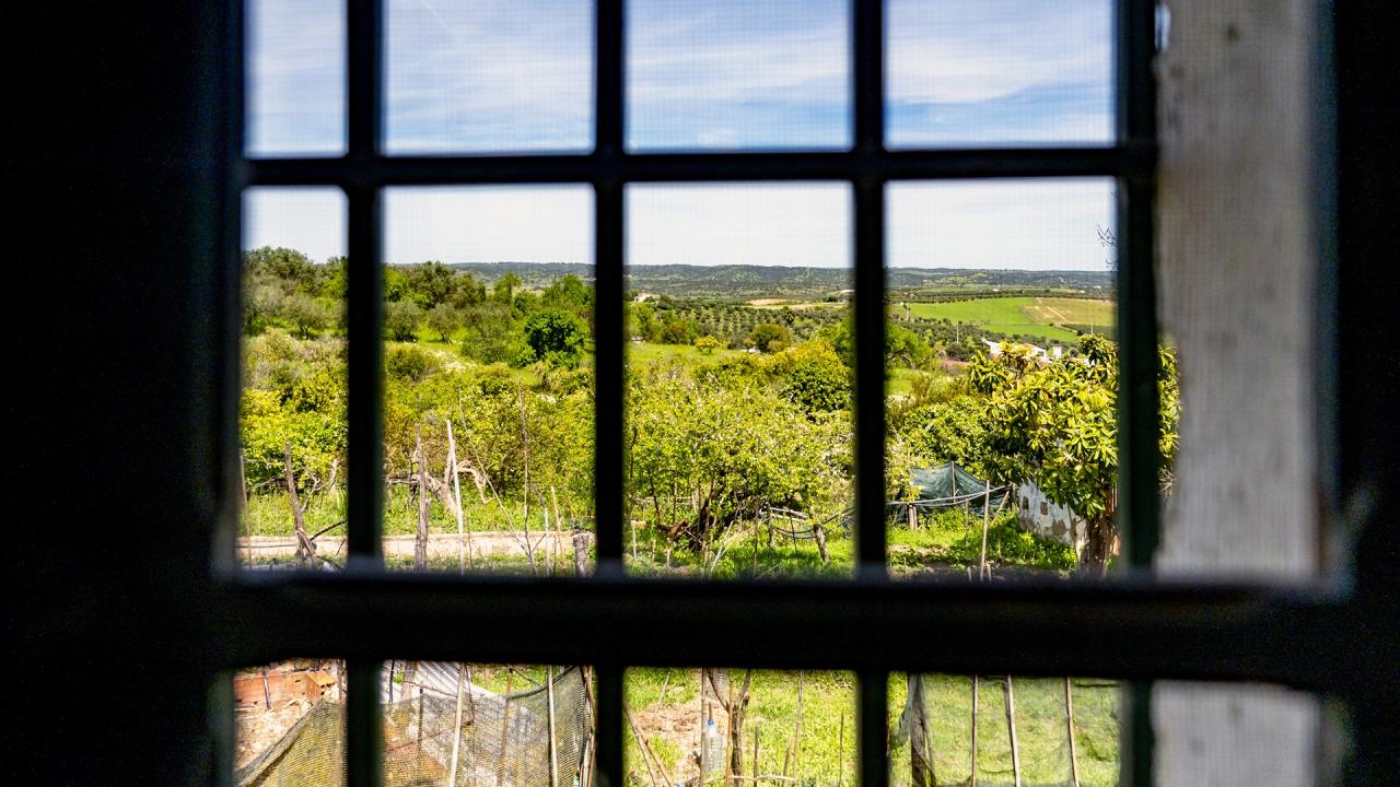 AreaMais® | Horta das Boeiras