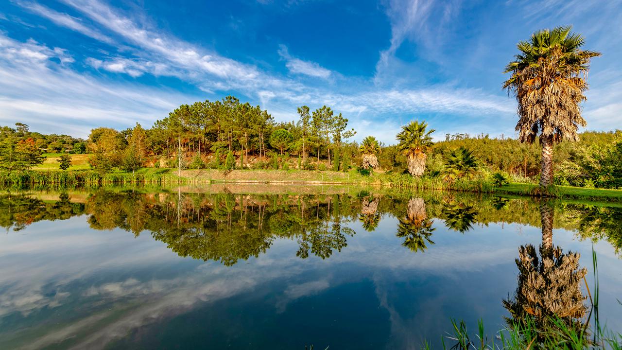 Quinta da Barca, a quinta das quintas.